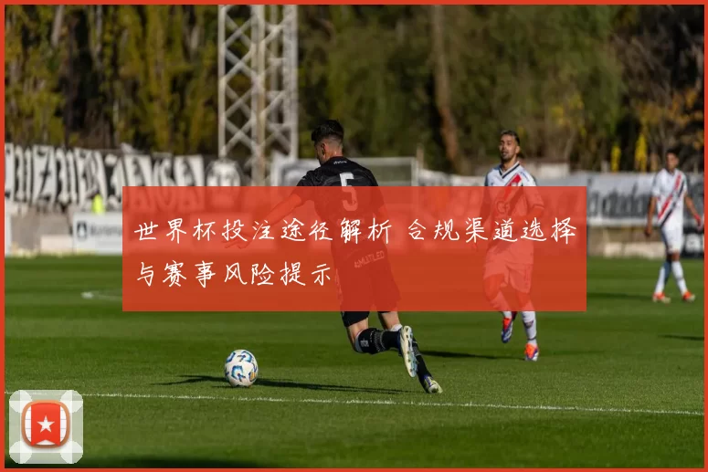 世界杯投注途径解析 合规渠道选择与赛事风险提示